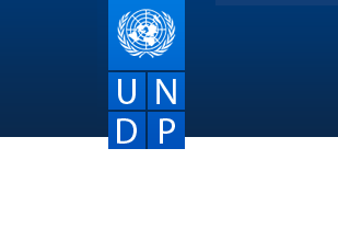 United Nations Development Programme (UNDP) Recruitment Engineering ...